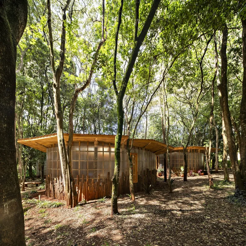 Timber pavilions with corrugated wall panels and curved roofs nestled among eucalyptus trees in dappled forest light