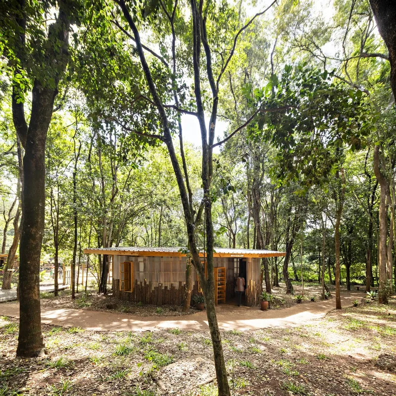 Low timber pavilion with corrugated metal walls set among trees in a clearing with dappled sunlight