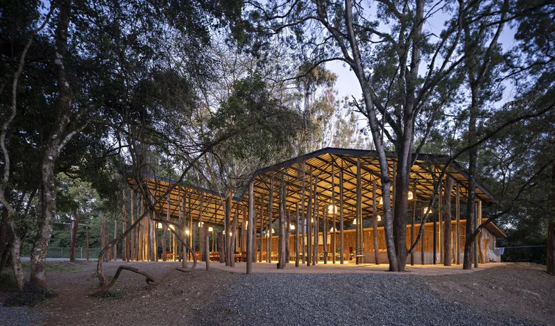 Open timber pavilion with exposed steel truss roof lit from within at dusk surrounded by forest