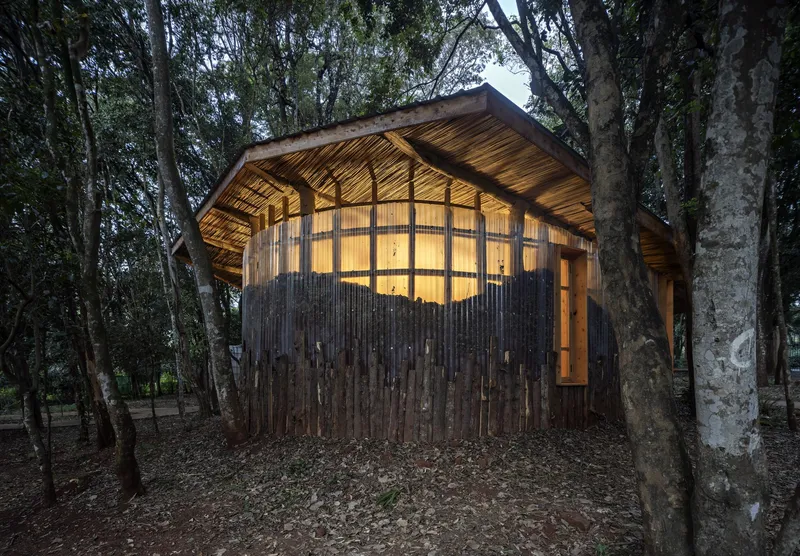Timber-framed structure with curved roof and corrugated metal cladding illuminated at dusk among eucalyptus trees