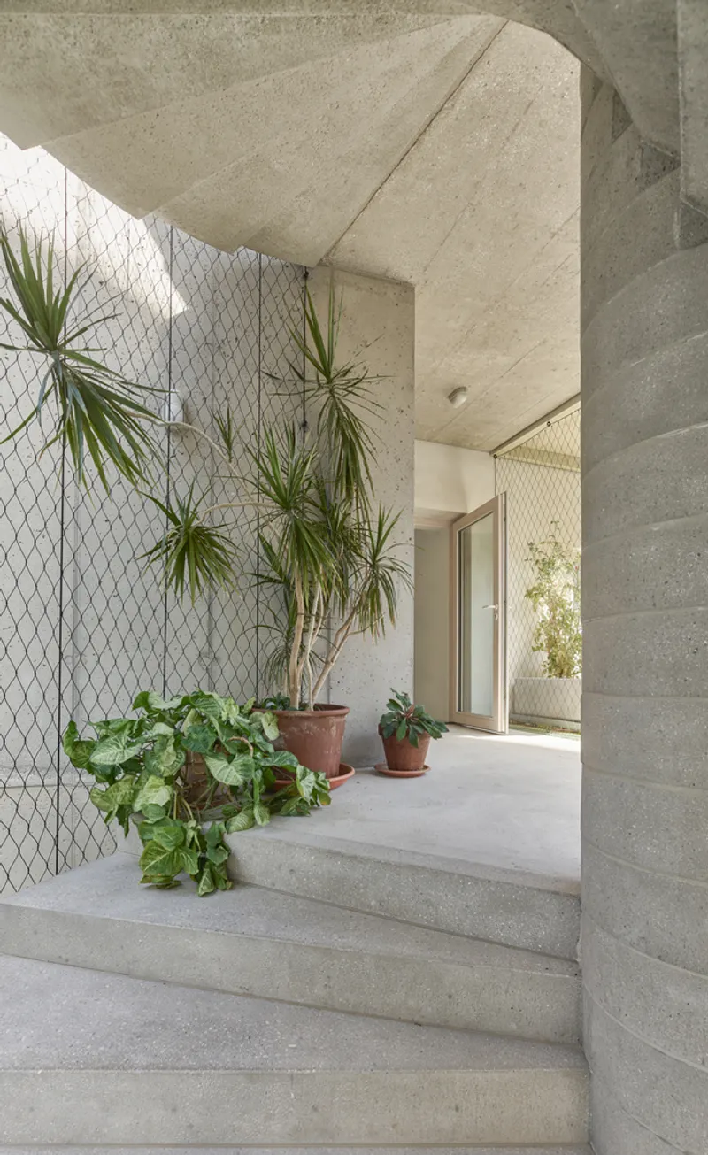 Concrete entrance steps with potted plants against a mesh-clad wall beneath an angular overhang