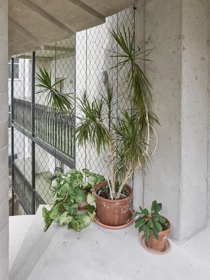 Concrete landing with potted palms and succulents beside a wire mesh balustrade