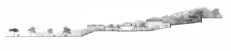 Section drawing showing terraced building volumes stepping up a wooded hillside with trees flanking