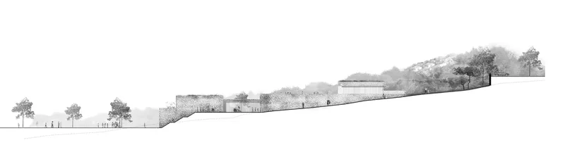 Section drawing showing educational buildings stepping up the wooded slope with trees framing the composition