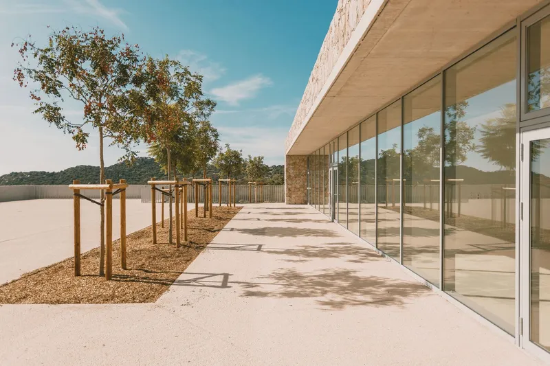 Exterior walkway alongside continuous glazing with newly planted trees in gravel beds under afternoon sun