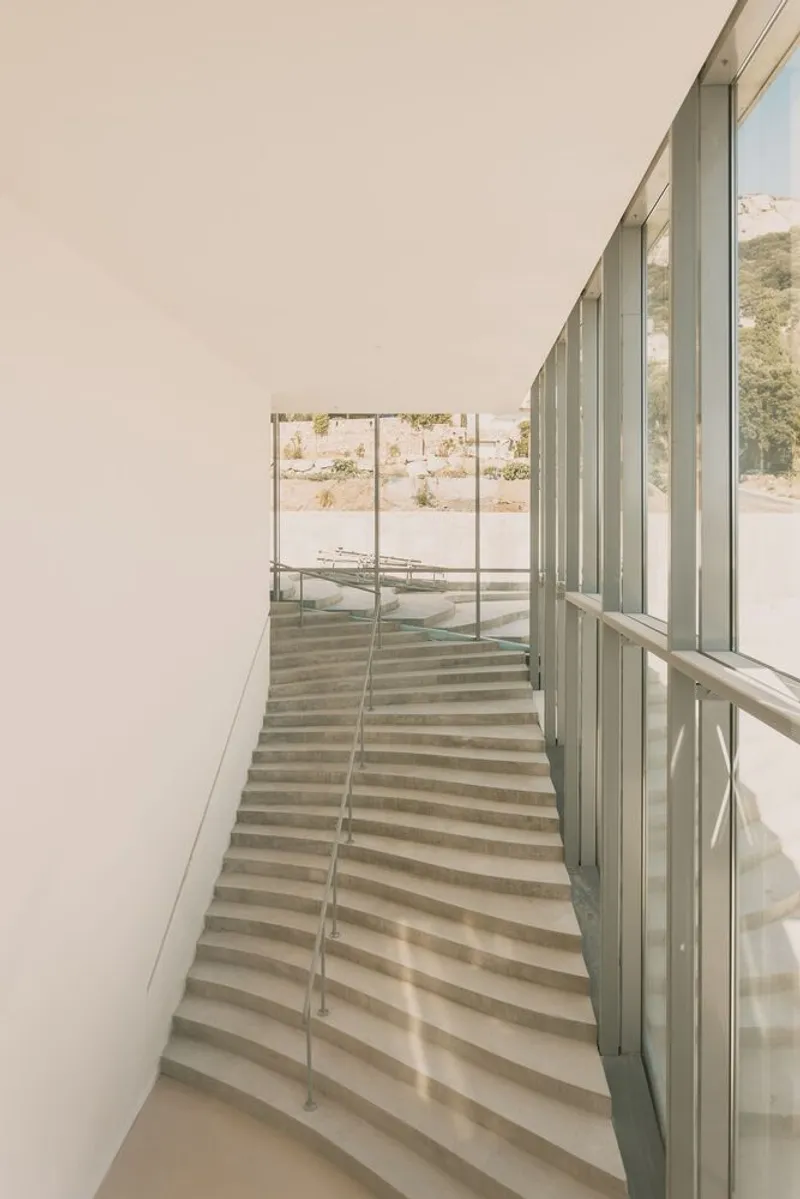 Interior staircase descending between white walls and glass curtain wall with dappled sunlight