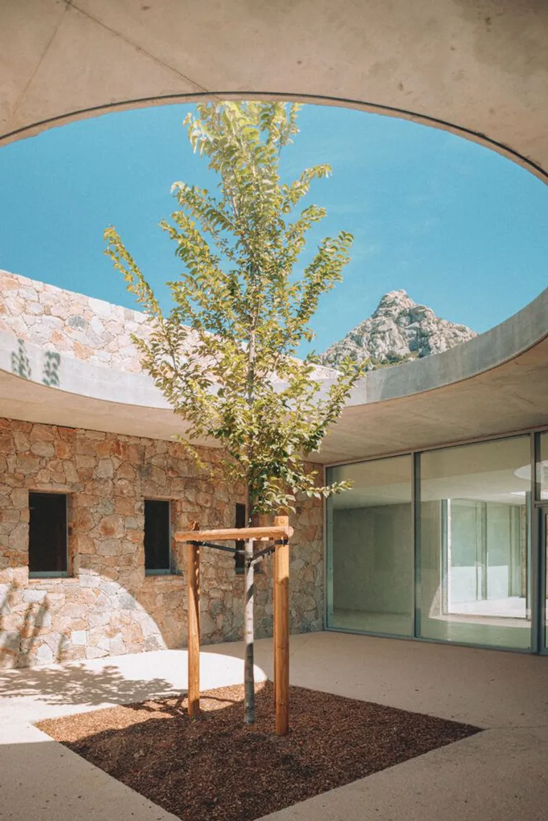 View up through circular roof opening framing a young tree and rocky peak beyond