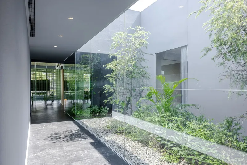 Interior courtyard with planted bed behind floor-to-ceiling glass wall and grey ceiling plane above