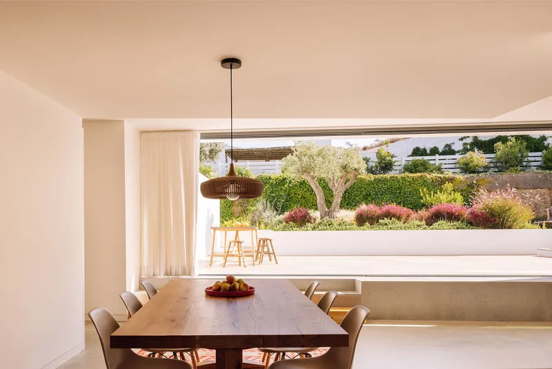 Dining room with timber table and horizontal window framing planted terrace with olive tree and clipped hedges