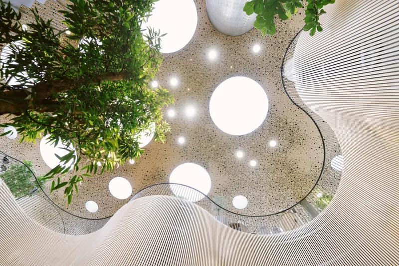 Overhead view of perforated ceiling with circular skylights and planted tree beside timber decking