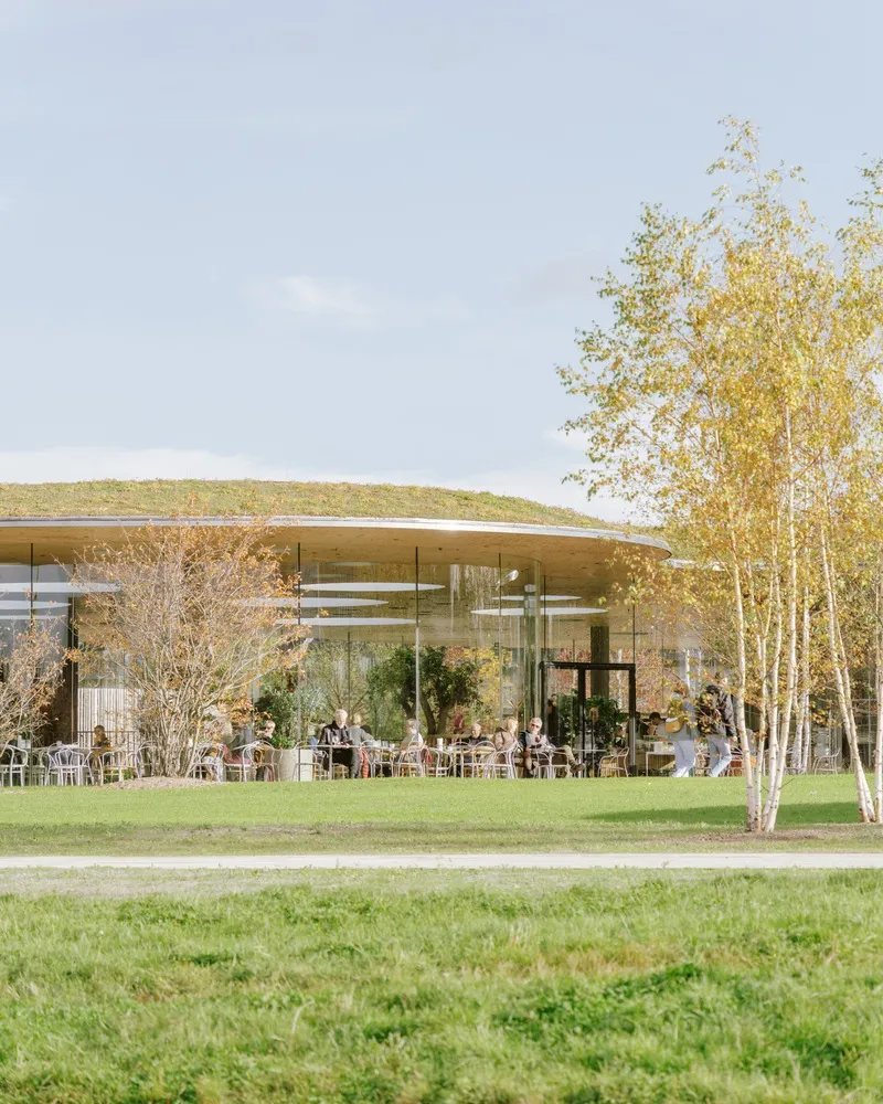 Green roof pavilion with glass walls visible through birch trees and lawn in autumn