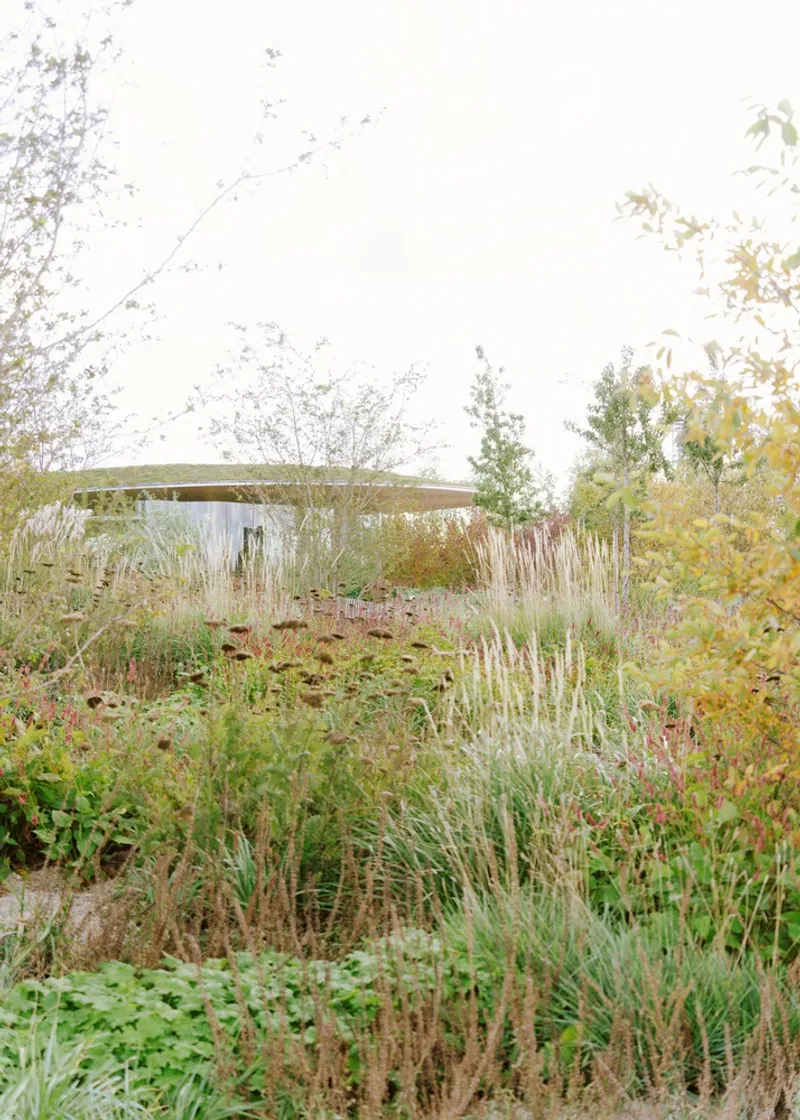 Low flat-roofed structure partially obscured by layered autumn plantings of ornamental grasses and perennials