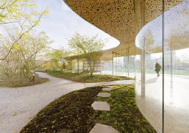 Curved glass facade with perforated ceiling canopy sheltering a gravel path and planted beds with birch trees