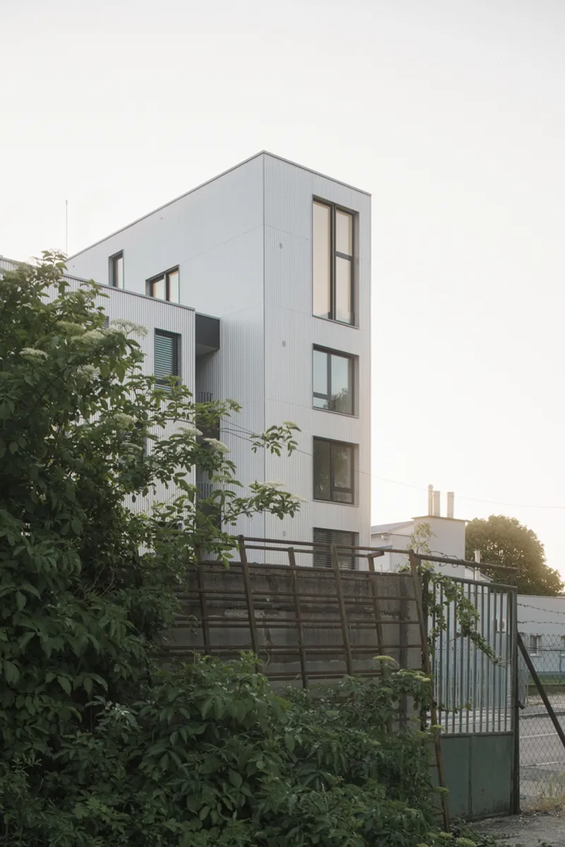 Garden side elevation with metal cladding and sliding shutters framed by vegetation at golden hour