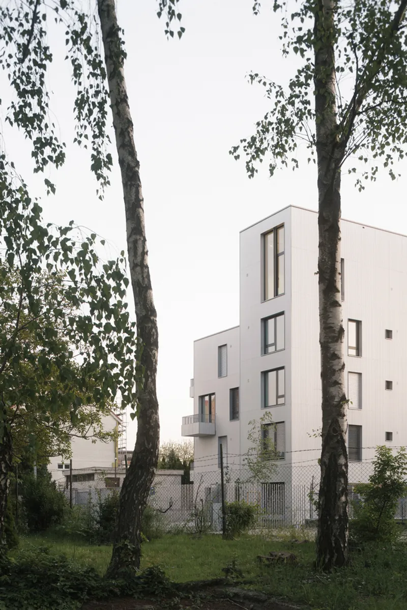Rear view through birch trees showing the white facade and windows above metal fencing and grassland