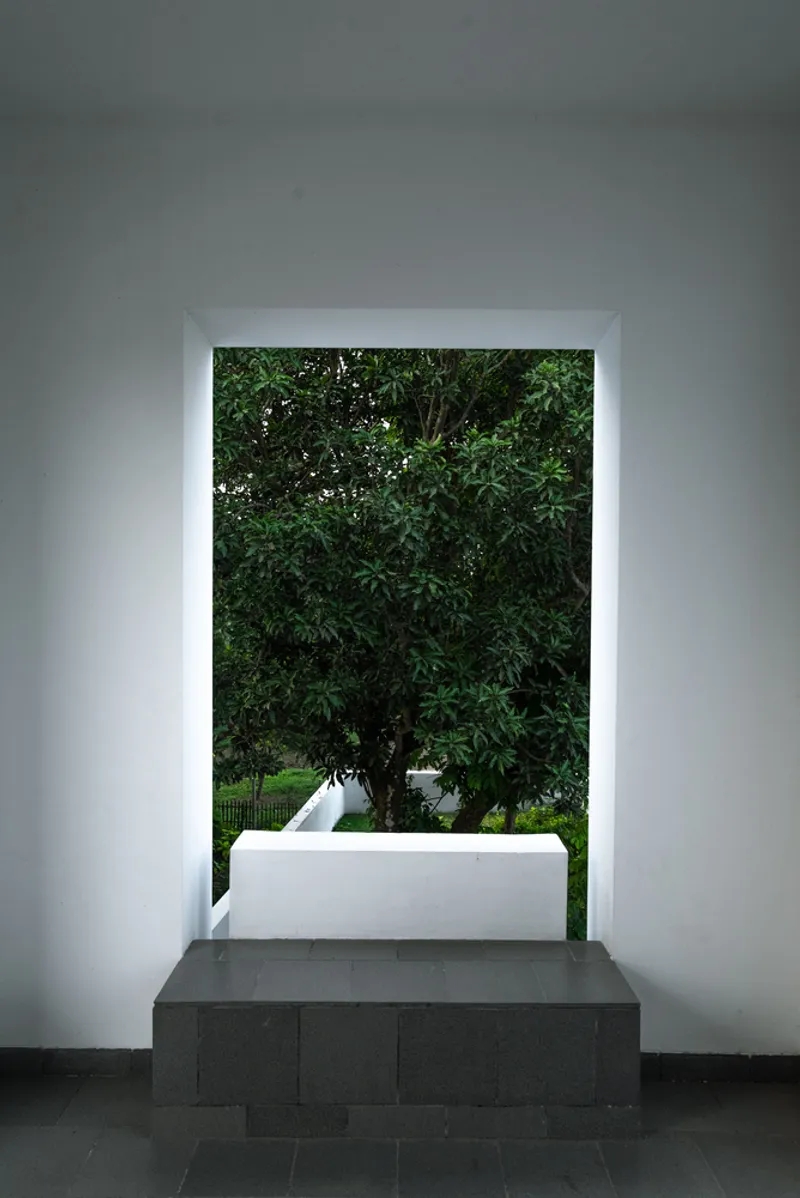Deeply recessed window framing a dense mango tree with a white parapet below