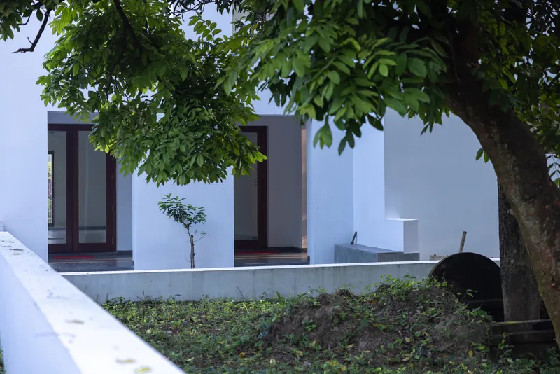 White plinth with planted bed and young tree beneath mature canopy
