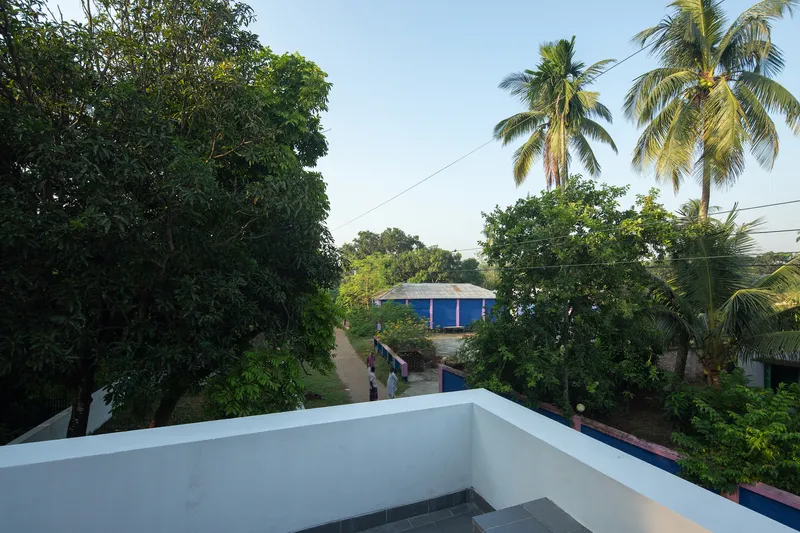 Rooftop view overlooking palm trees and rural lane in late afternoon light