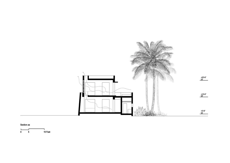 Section drawing showing two-storey interior volumes with palm tree and low vegetation adjacent
