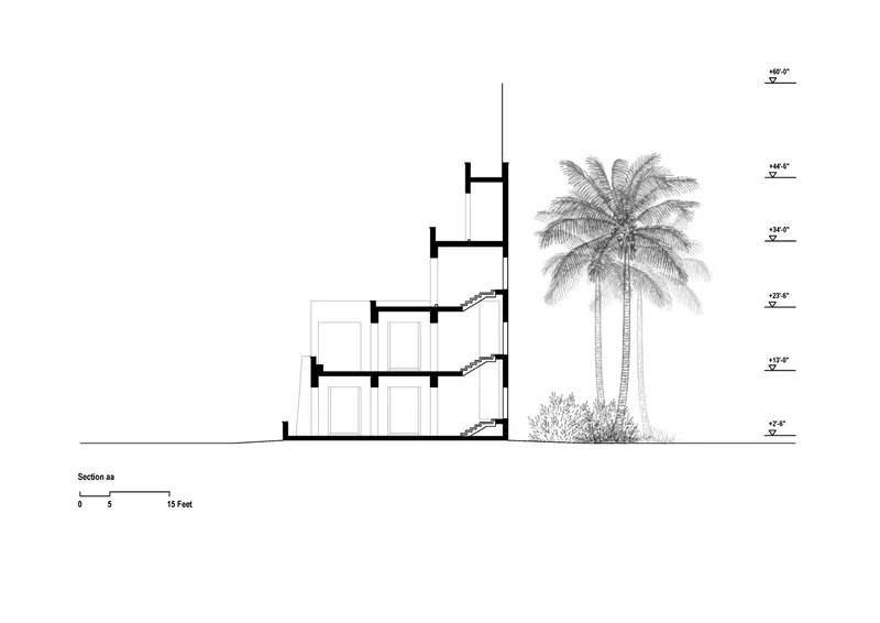 Section drawing showing four-storey stepped structure with staircases beside a palm tree