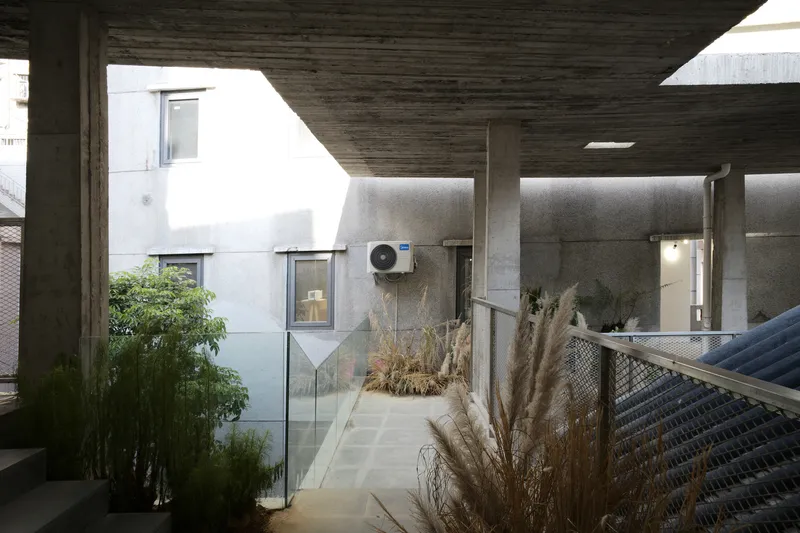Concrete terrace with glass railings and planted beds of ornamental grasses under a board-formed soffit