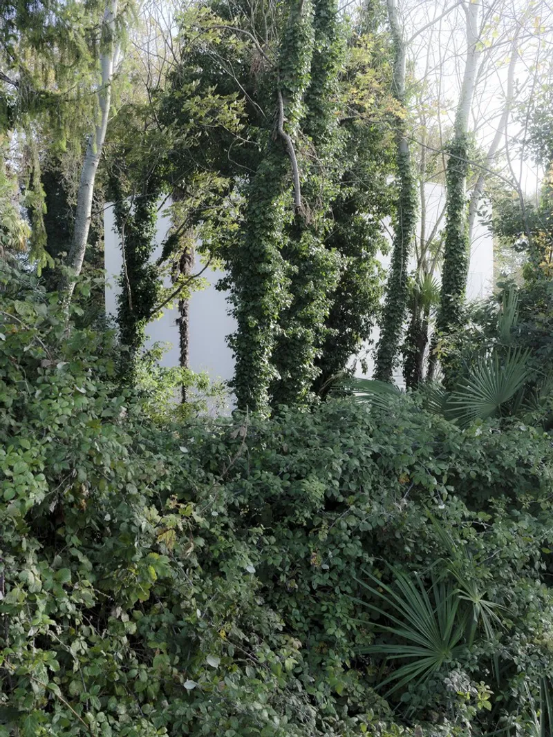 White facade partially obscured by ivy-covered tree trunks and layers of wild greenery