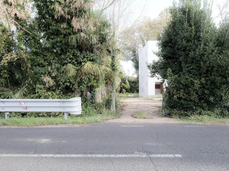 View from the roadside showing a white rectilinear volume framed by dense subtropical vegetation and palms