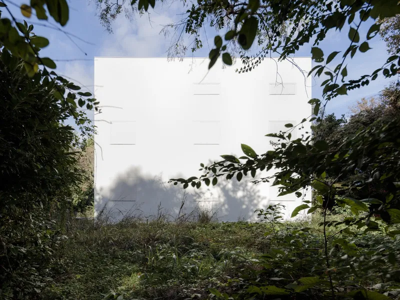 White rendered facade framed by overhanging foliage with dappled shadows in afternoon light
