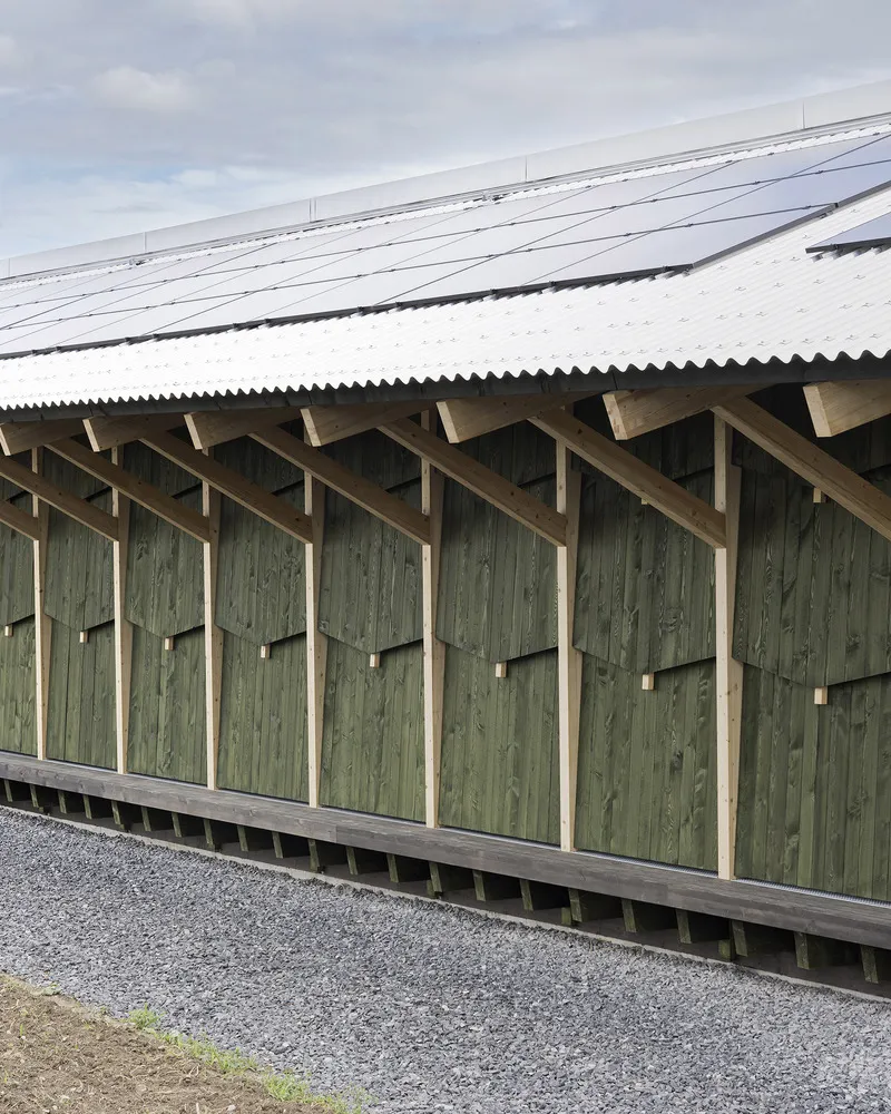 Corrugated metal roof overhanging a facade of green timber cladding with exposed rafter ends