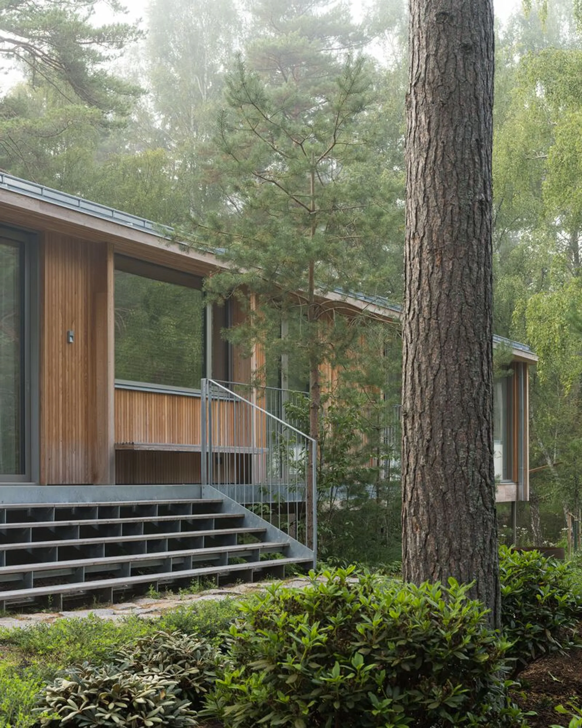 Johan Sundberg Arkitektur Lifts a Larch-Clad Retreat into the Pines on Sweden's Baltic Coast
