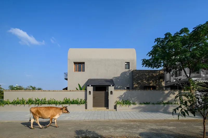 Street facade with plastered walls and timber gate as a cow walks past under a clear blue sky