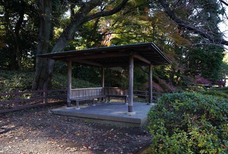Timber shelter with pitched roof and benches on a concrete platform surrounded by fallen leaves