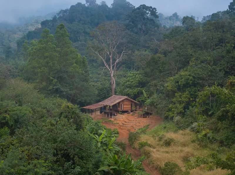 Timber pavilion with tiled roof on cleared hillside surrounded by dense forest in morning mist