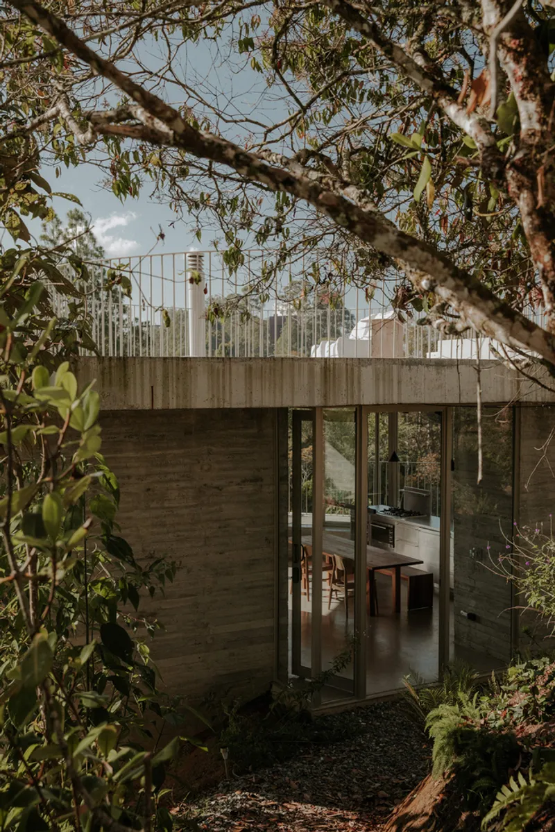Board-formed concrete facade with floor-to-ceiling glazing revealing dining area seen through overhanging tree branches