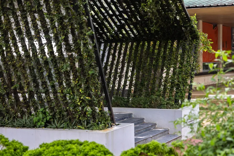 Curved latticed screen covered with climbing vines beside concrete steps and planted beds