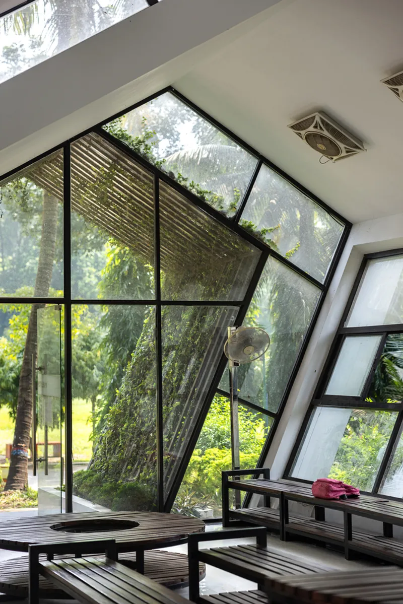 Angled glazed wall framing a view of a large tree trunk with wooden platform seating in foreground