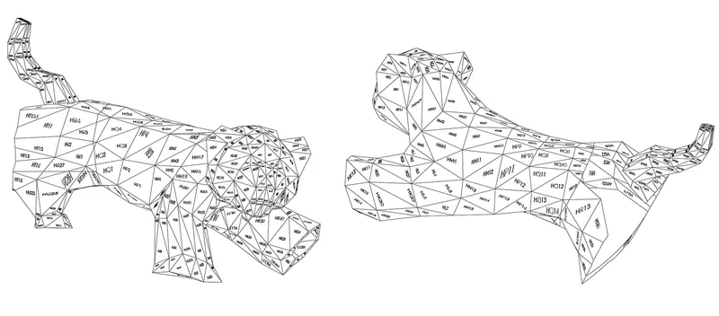 Axonometric drawing of two faceted sculptural forms with labeled triangulated panels