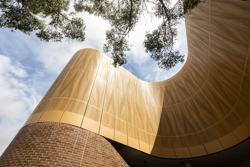 Upward view of curved timber-paneled facade meeting brick base with eucalyptus canopy overhead