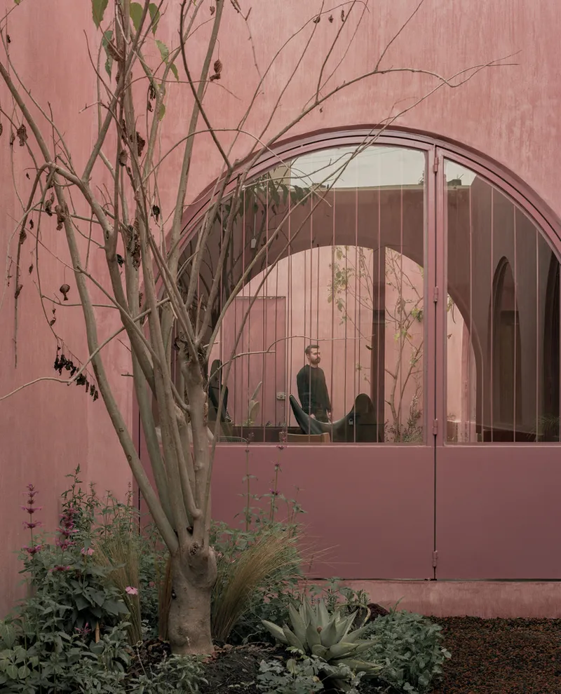 Exterior view of arched window with vertical slat screening beside a tree and succulents