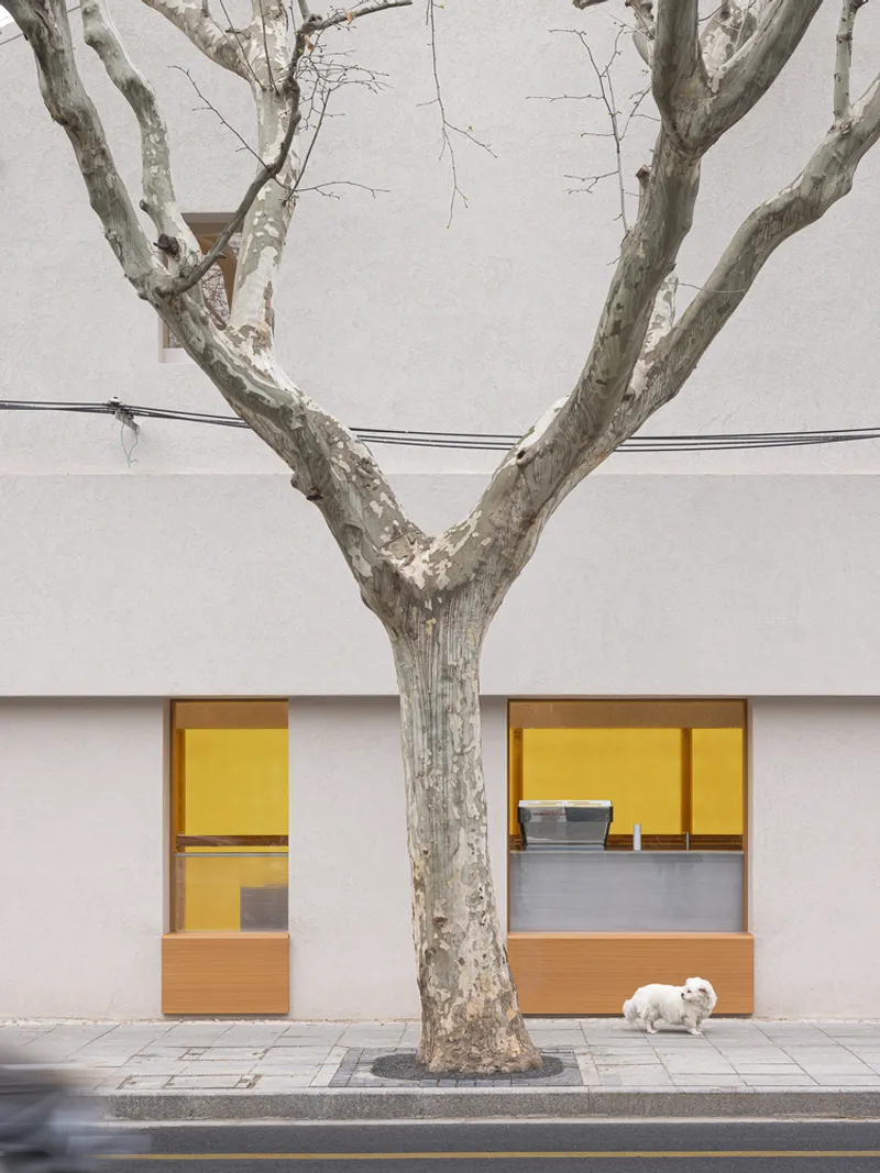 Street facade with timber-framed windows and yellow interior visible behind a bare branching tree and small dog