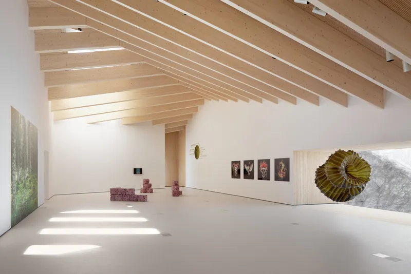 Gallery interior with exposed timber ceiling beams and skylights casting rectangular shadows across the polished floor