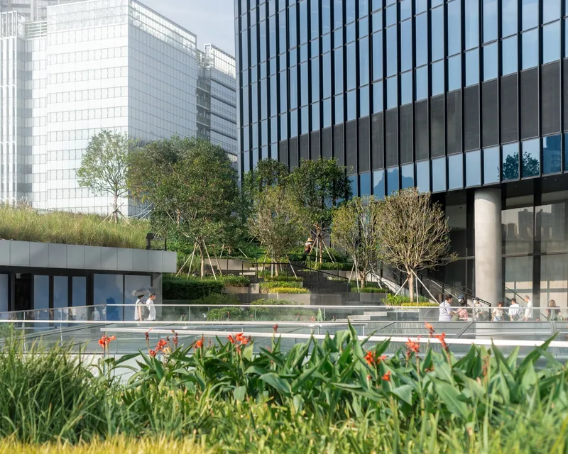Planted courtyard with stepped terraces and young trees framed by glass and vertical fin facades