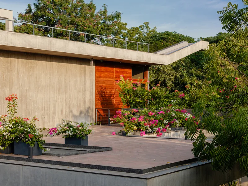 Rooftop terrace deck with potted bougainvillea and cantilevered concrete roof plane at dusk
