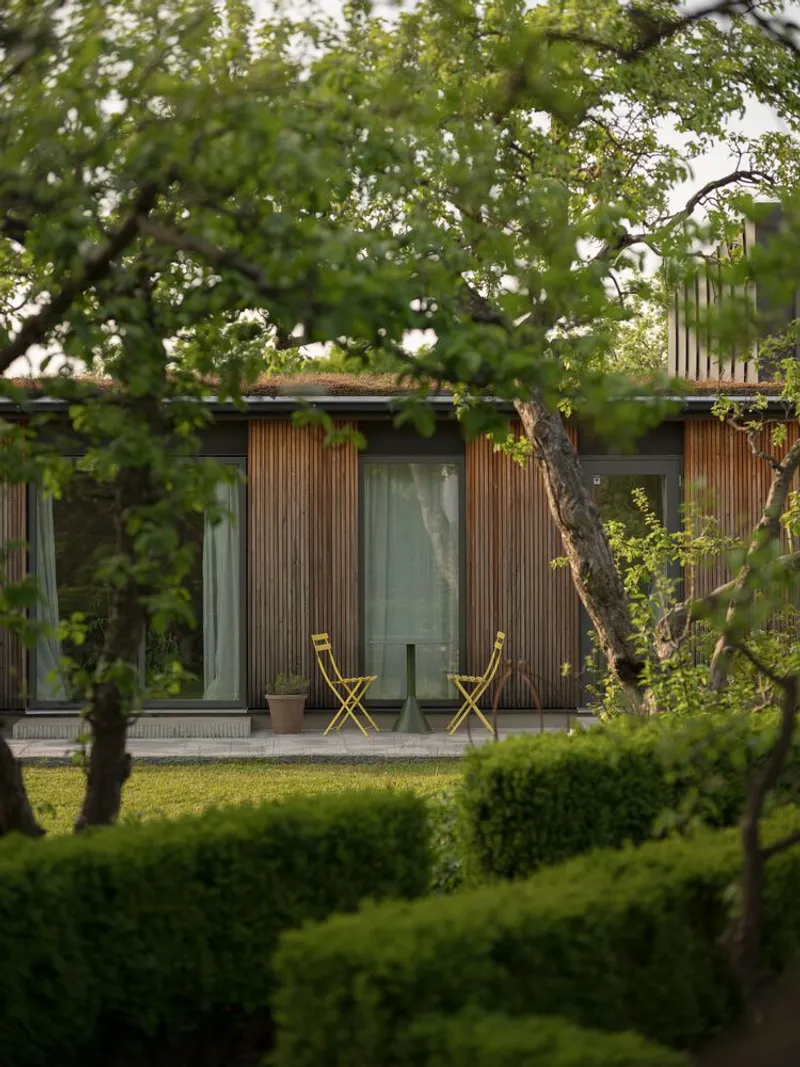 Garden pavilion with vertical timber cladding and full-height glazing framed by overhanging tree branches