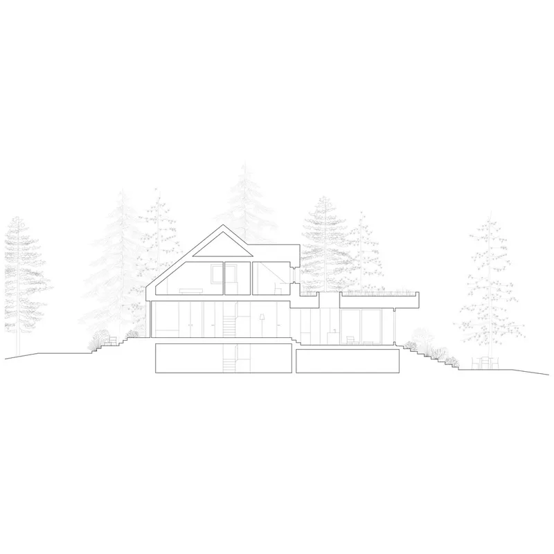 Section drawing showing a multi-level residence with gabled roof set among tall conifers