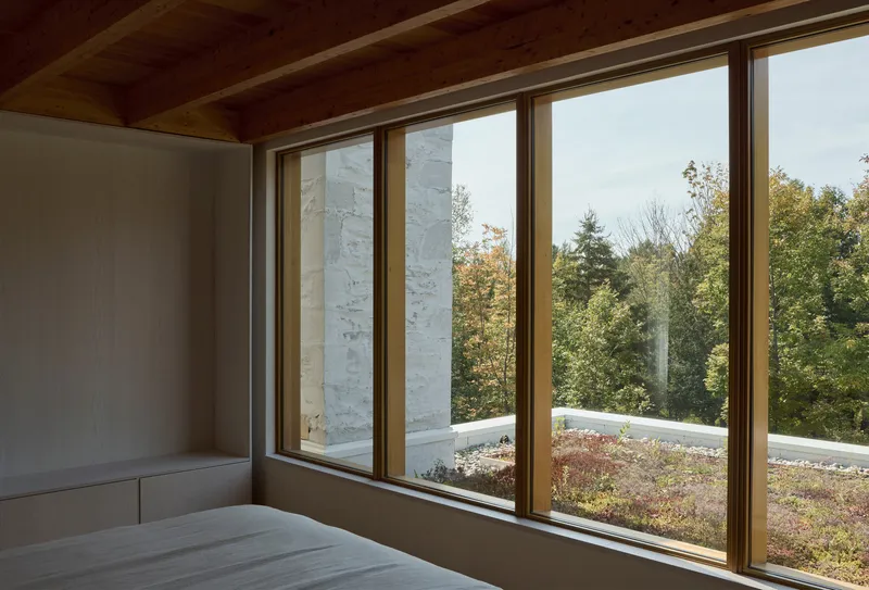 Bedroom corner with timber-lined ceiling and full-height windows overlooking planted roof and woodland edge
