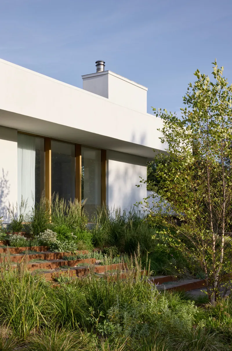 White rendered facade with timber-framed windows behind terraced corten steel steps and planted grasses