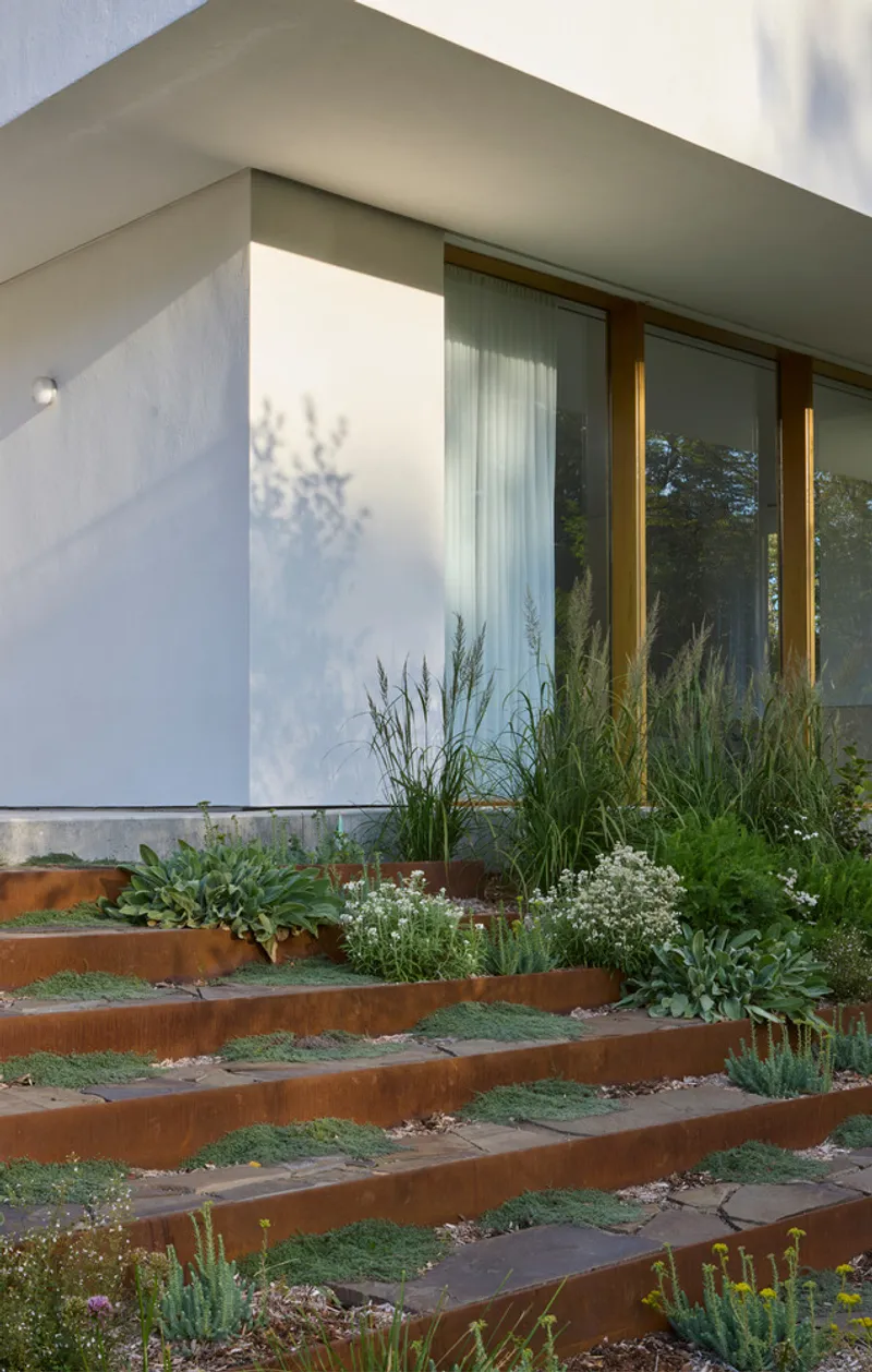 Corten steel terraced planters with low grasses and succulents leading to glazed facade in afternoon light
