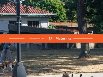 Discovering global streets through visual stories