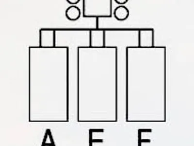ANIMAL ENERGY FARM